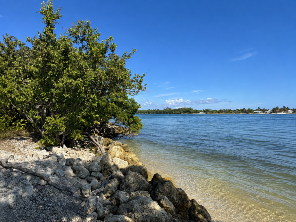 Oleta River State Park